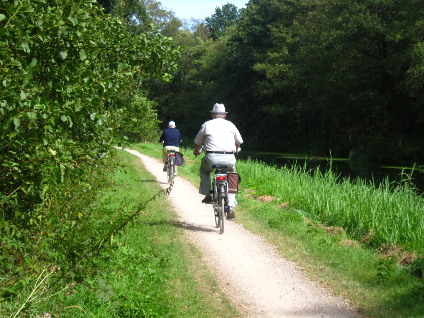 Fietsen in natuur Limburg