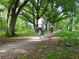 Fietsen in de Natuur