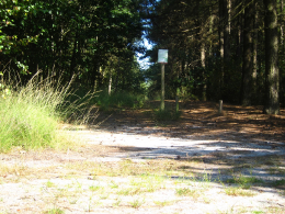 Fietsen in de bossen