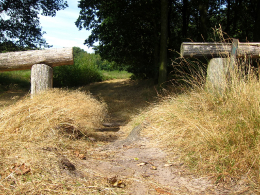 Fietspaden door de natuur