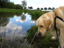 Limburgs waterrijk gebied