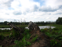 Rust in de natuur