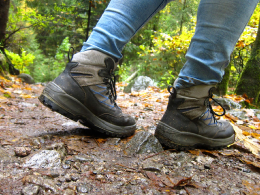 Wandelen in de natuur