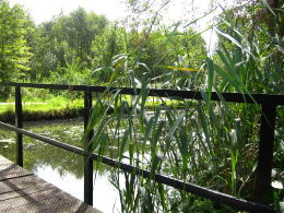 Brug over het water