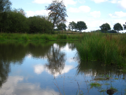 Waterlandschap