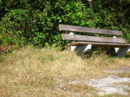 Zitbankje in de natuur